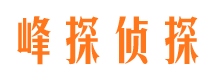 振安市调查公司